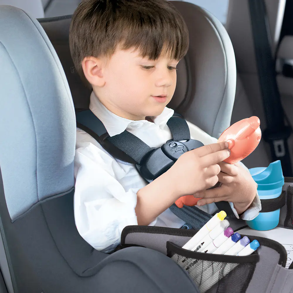 Bandeja Organizadora Para Viajes Dreambaby 6