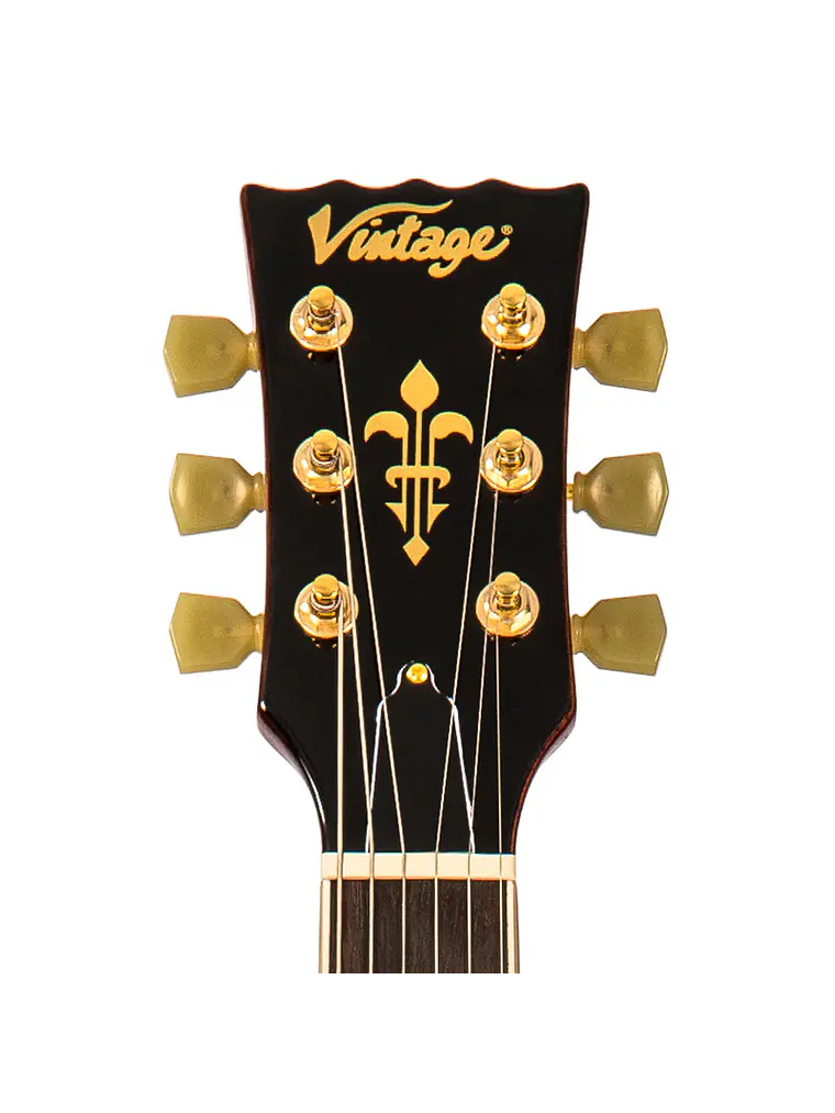 Guitarra eléctrica  V100M Mini Double Coil ~ Tapa dorada 5