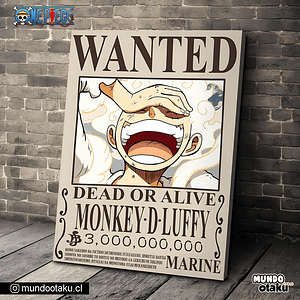 Cuadro Bastidor - One Piece