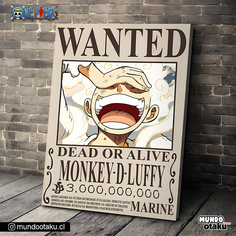 Cuadro Bastidor - One Piece 1