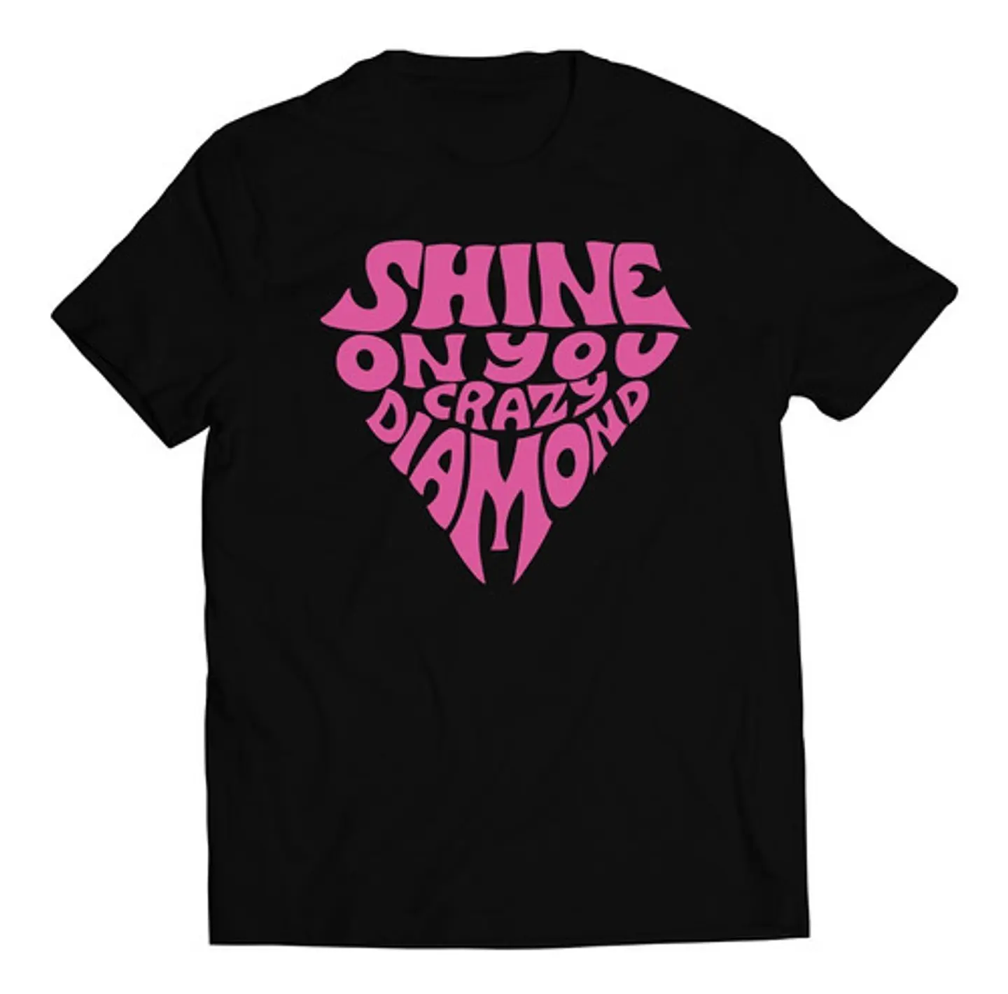 Polera Pink Floyd - Shine On You Crazy Diamond | Rock 1