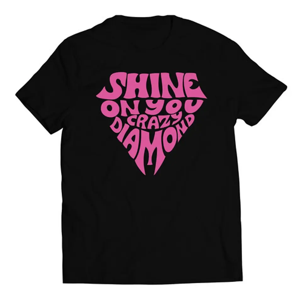 Polera Pink Floyd - Shine On You Crazy Diamond | Rock 1
