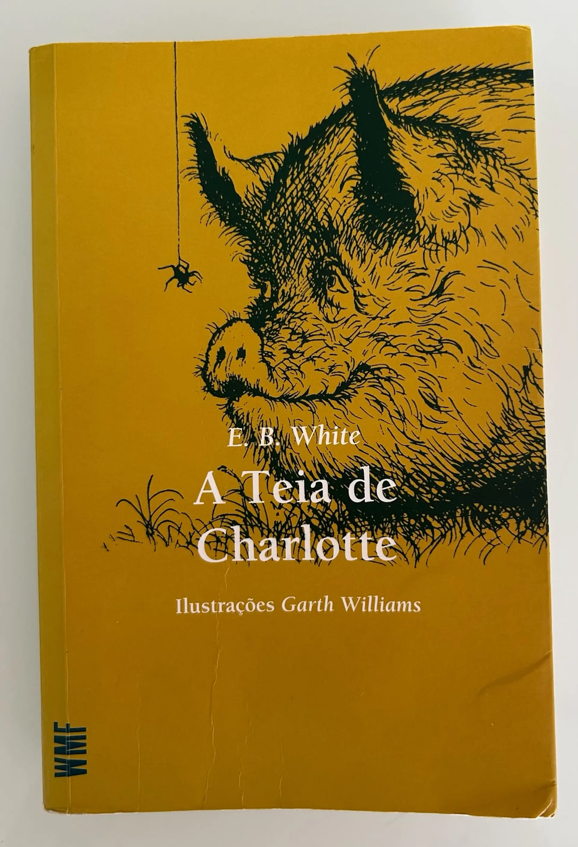 A Teia de Charlotte 1
