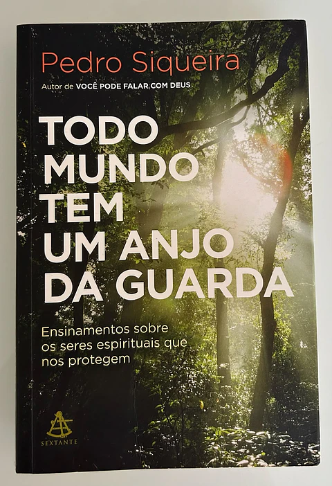 Todo Mundo Tem um Anjo da Guarda