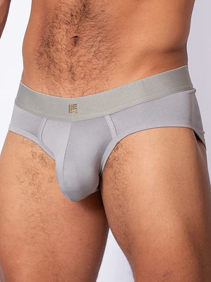 Apolo Gris