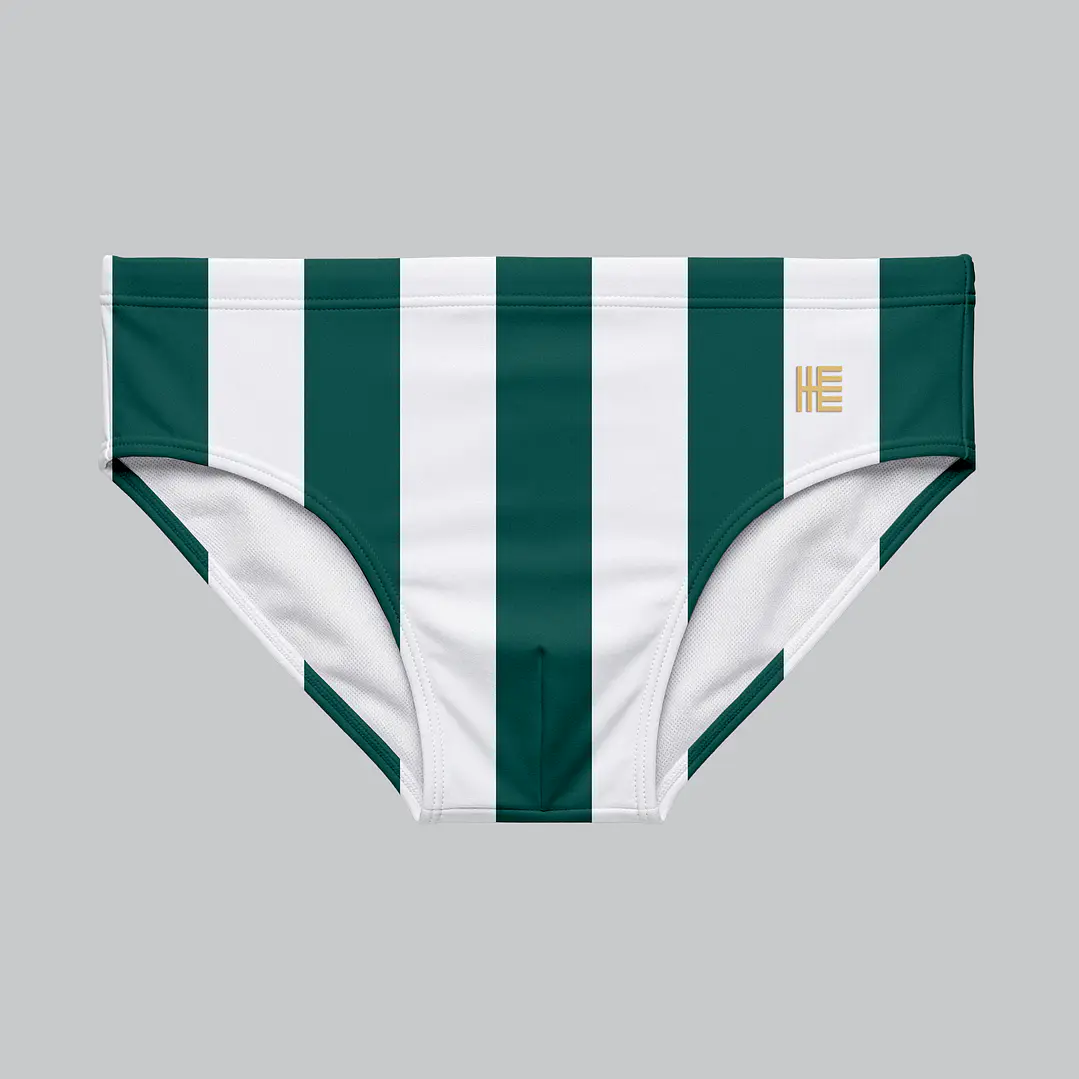 Bañador Brief Licra Estampado Stripes Verde 1