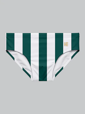 Bañador Brief Licra Estampado Stripes Verde