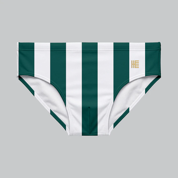 Bañador Brief Licra Estampado Stripes Verde 1