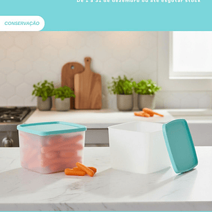 Refrigeradoras Quadradas 800 ml (2)