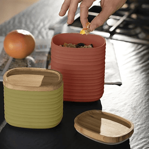 TIERRA - Caixa de Conservação Pequena 500 ML (Verde)