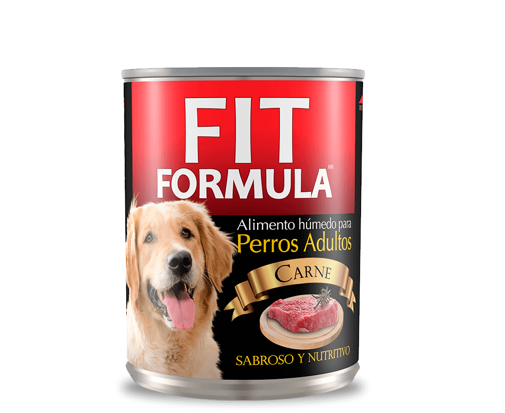 Lata Fit Formula Perro Adulto 280Gr