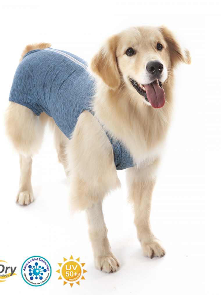 Body Post Operatorio Castracion Perro Macho 1