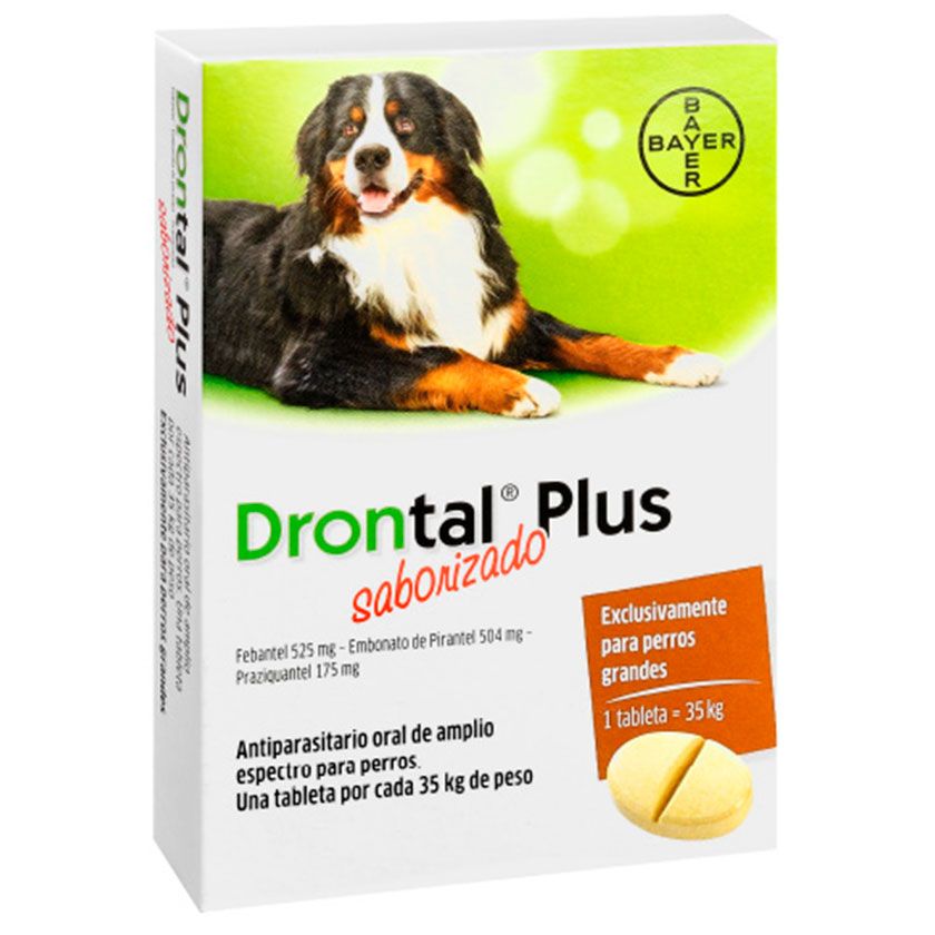 Drontal Plus perro raza grande 1 comp