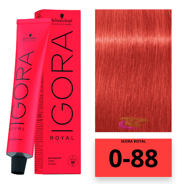 Tinte Igora Royal 0-88 concentrado rojo