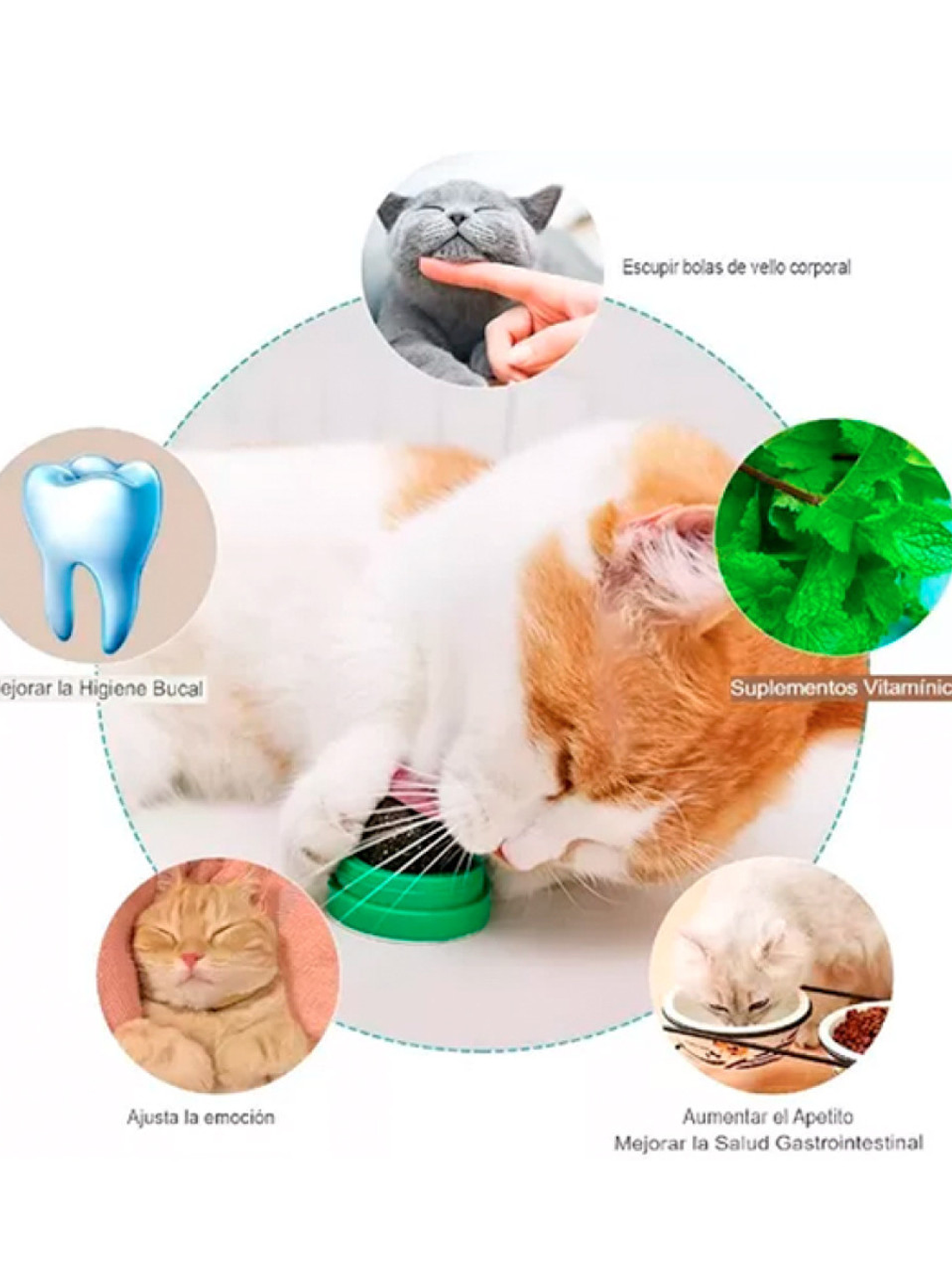 Bola de hierba gatera (catnip) giratoria con adhesivo 2