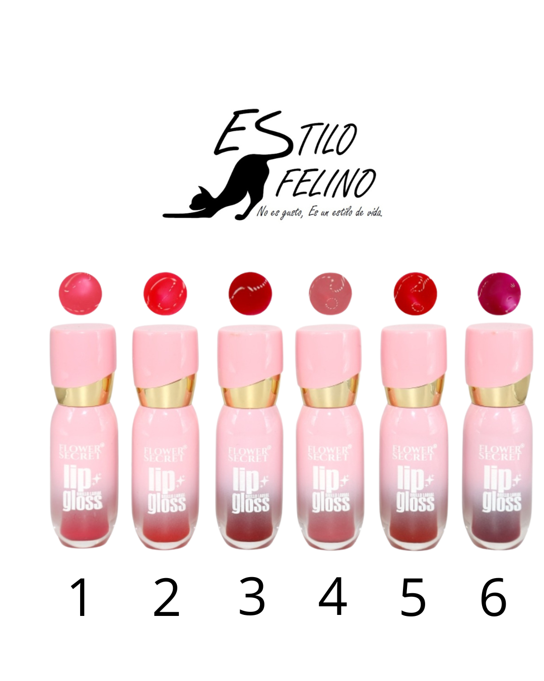 Flower Secret Lip gloss