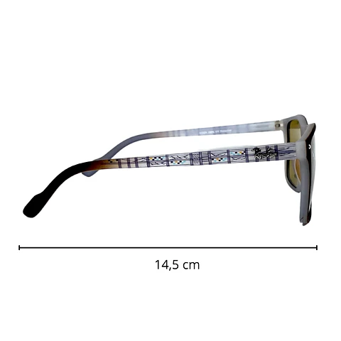Lentes de Sol RyB AAA Café con diseño Unisex 5