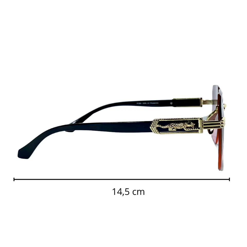 Lentes de Sol Premium Unisex 5