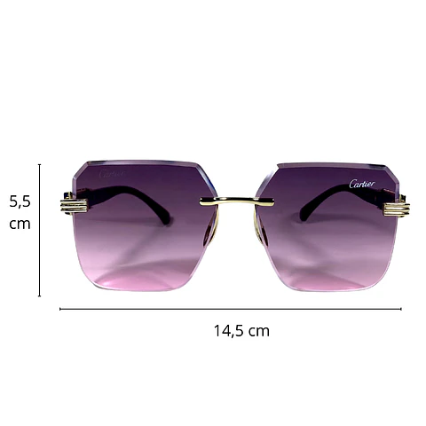 Lentes de Sol Premium Unisex 4