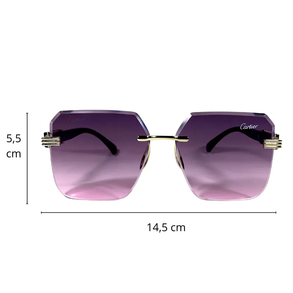 Lentes de Sol Premium Unisex 4