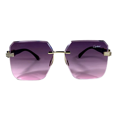 Lentes de Sol Premium Unisex 2