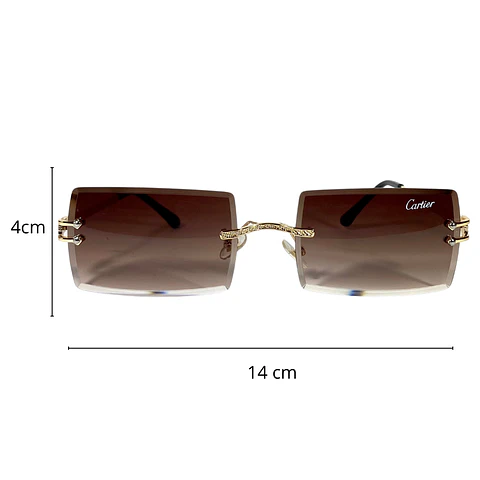 Lentes de Sol Café Unisex  2