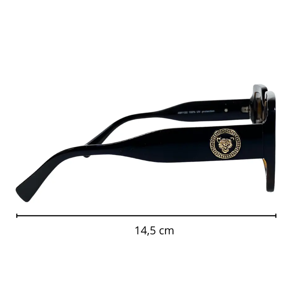 Lentes de Sol Café unisex 3
