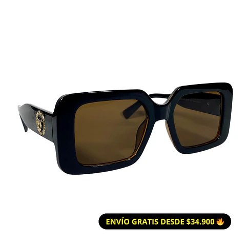 Lentes de Sol Café unisex 1