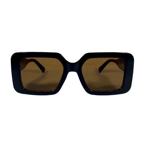 Lentes de Sol Café unisex 5