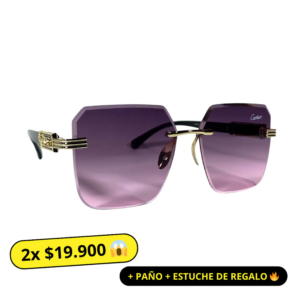 Lentes de Sol Premium Unisex 1