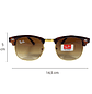 Lentes de Sol Premium RyB AAA Café Unisex - Miniatura 5