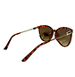 Lentes de Sol R&B AAA Café Mujer - Miniatura 4