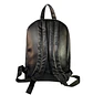 Mochila Impermeable Negra (Capacidad Pc 15