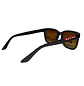 Lentes de Sol Premium AAA Café Unisex  - Miniatura 4