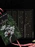 The Twilight Saga Deluxe Hardcover Collection