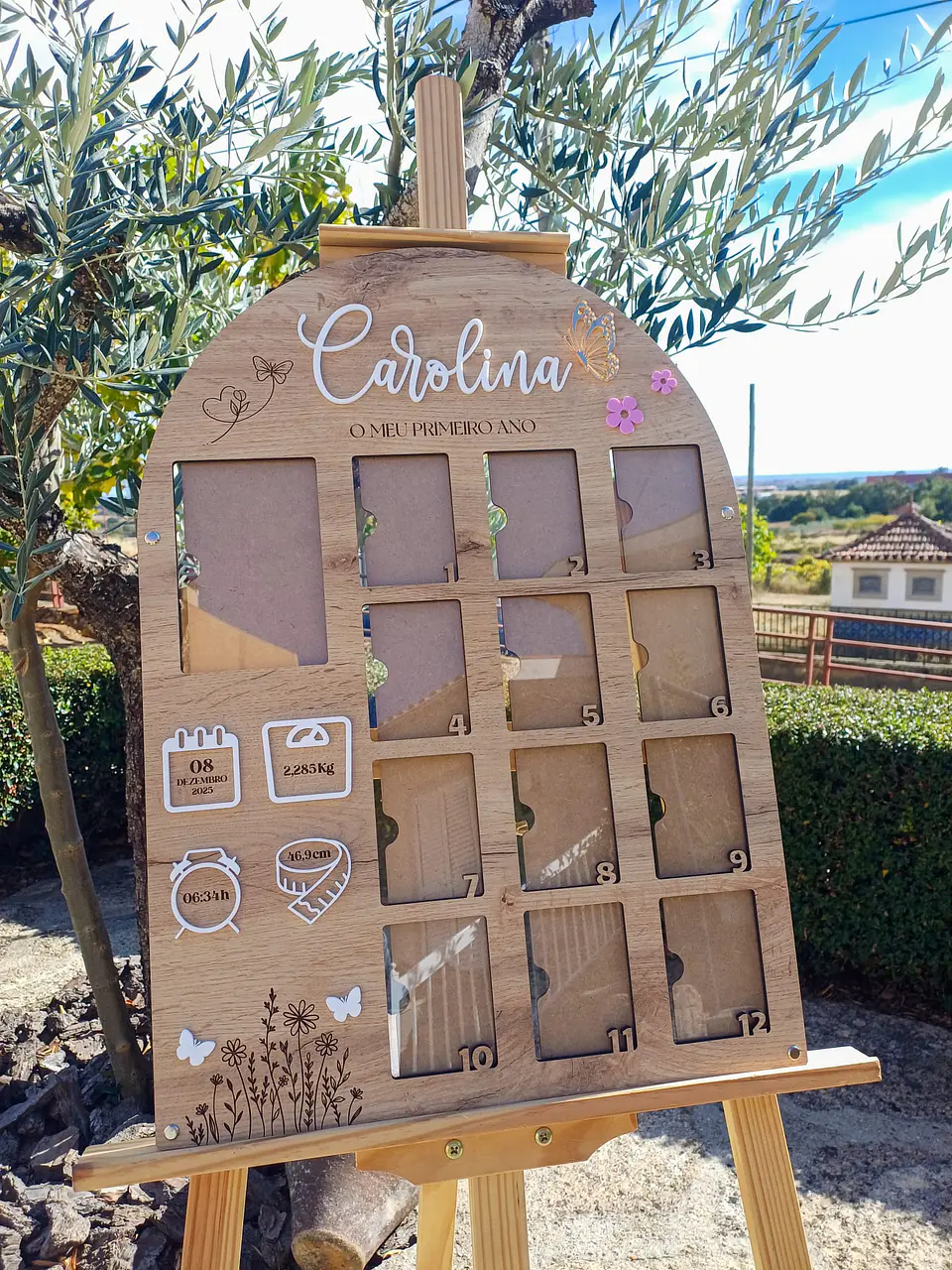 Quadro Fotos Primeiro Ano 1