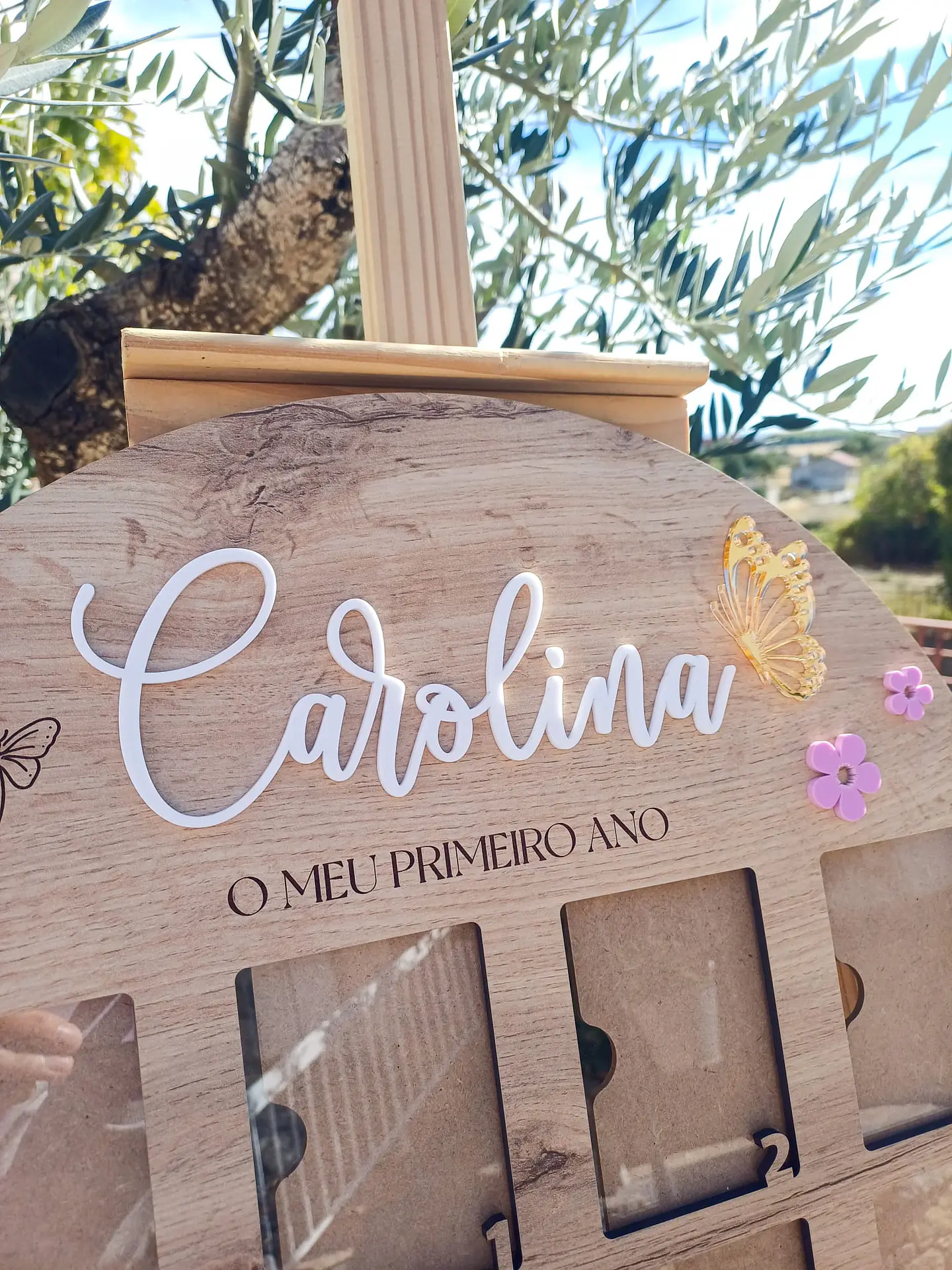 Quadro Fotos Primeiro Ano 2