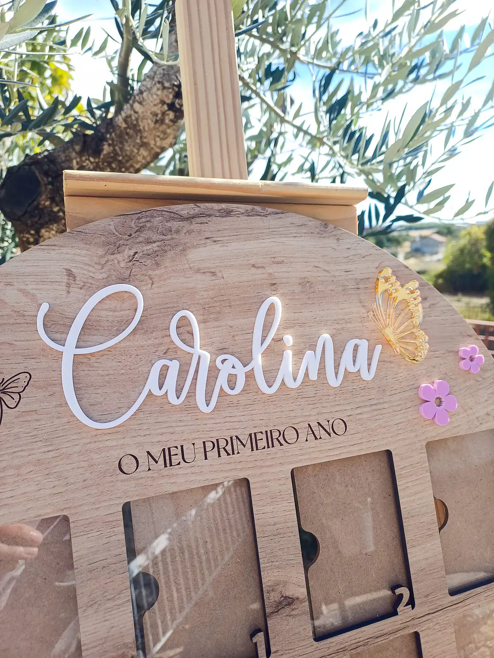 Quadro Fotos Primeiro Ano 2