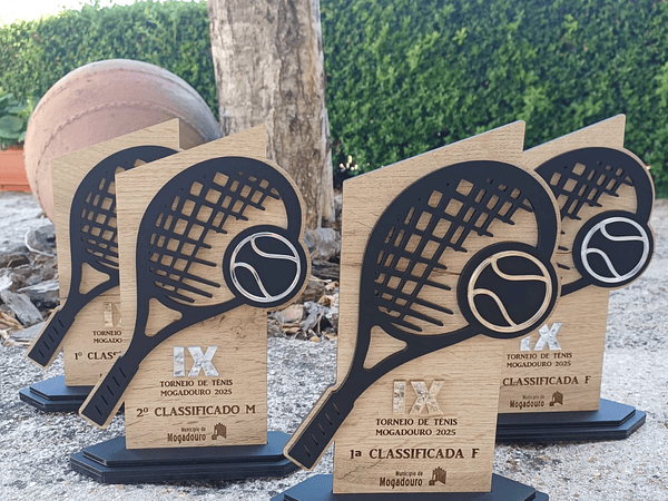 Troféus em Madeira e Acrílico: Reconhecer com Estilo e Identidade