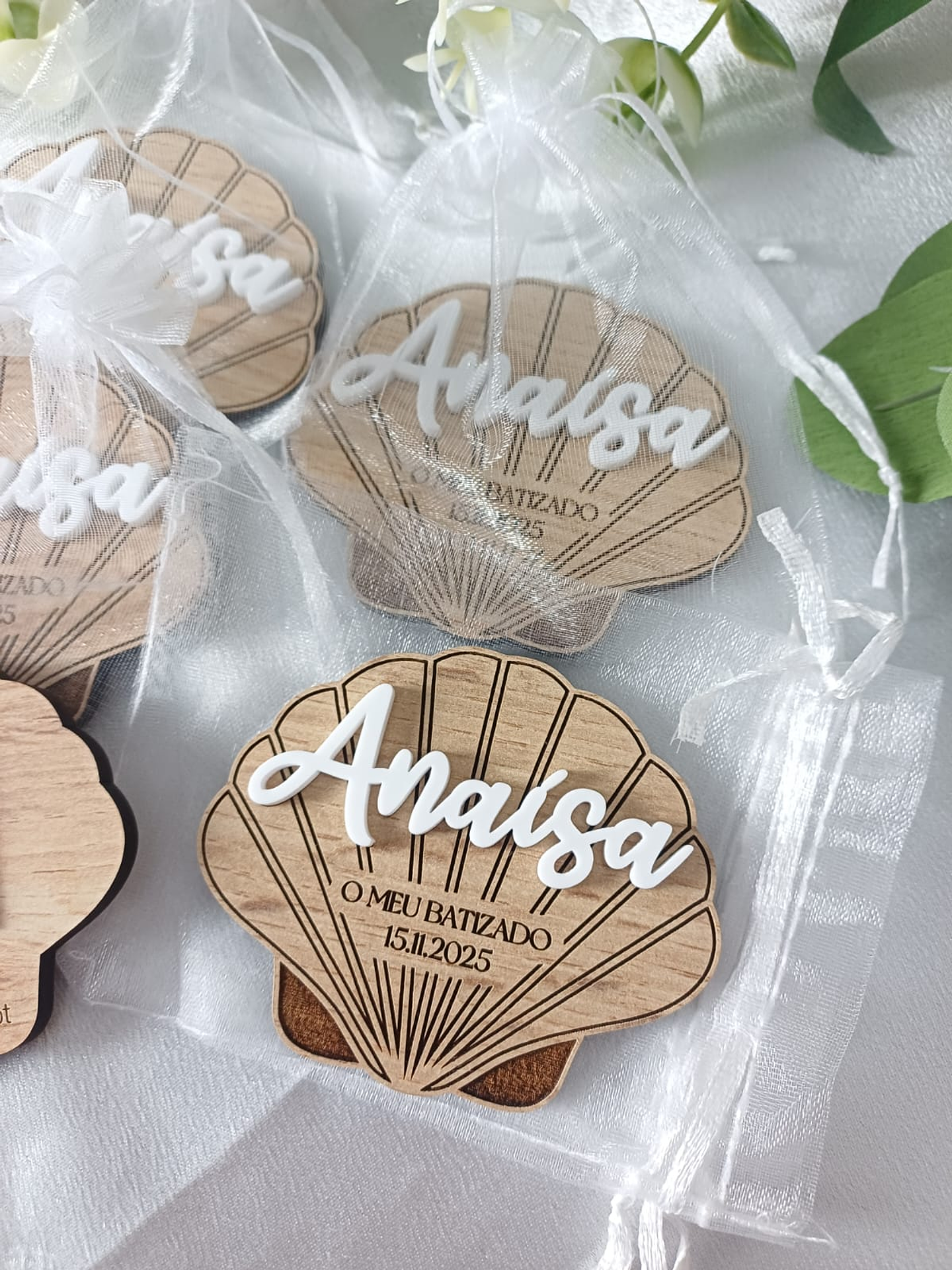 Íman Madeira Concha - Lembrança 1