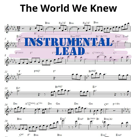 IL 0002 - The World We Knew - Frank Sinatra - Instrumental Lead Sheet