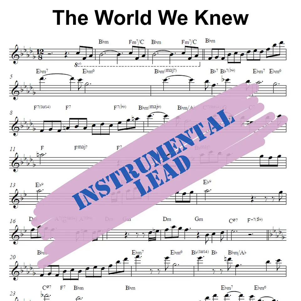 IL 0002 - The World We Knew - Frank Sinatra - Instrumental Lead Sheet 1