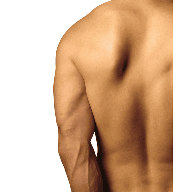 Hombres - Espalda Completa