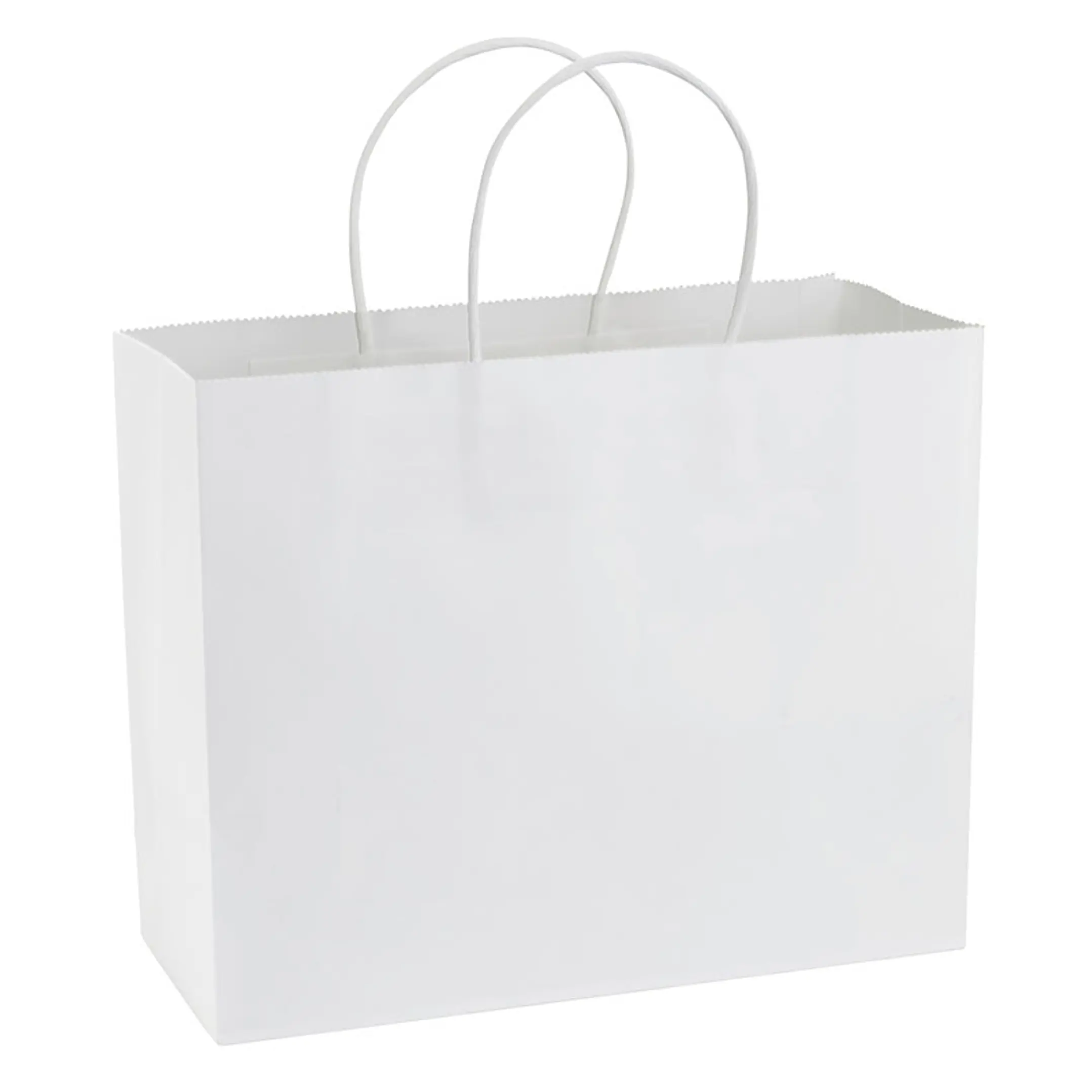 Bolsa de Papel 120g/m2 (Pack 100 Unidades). 2