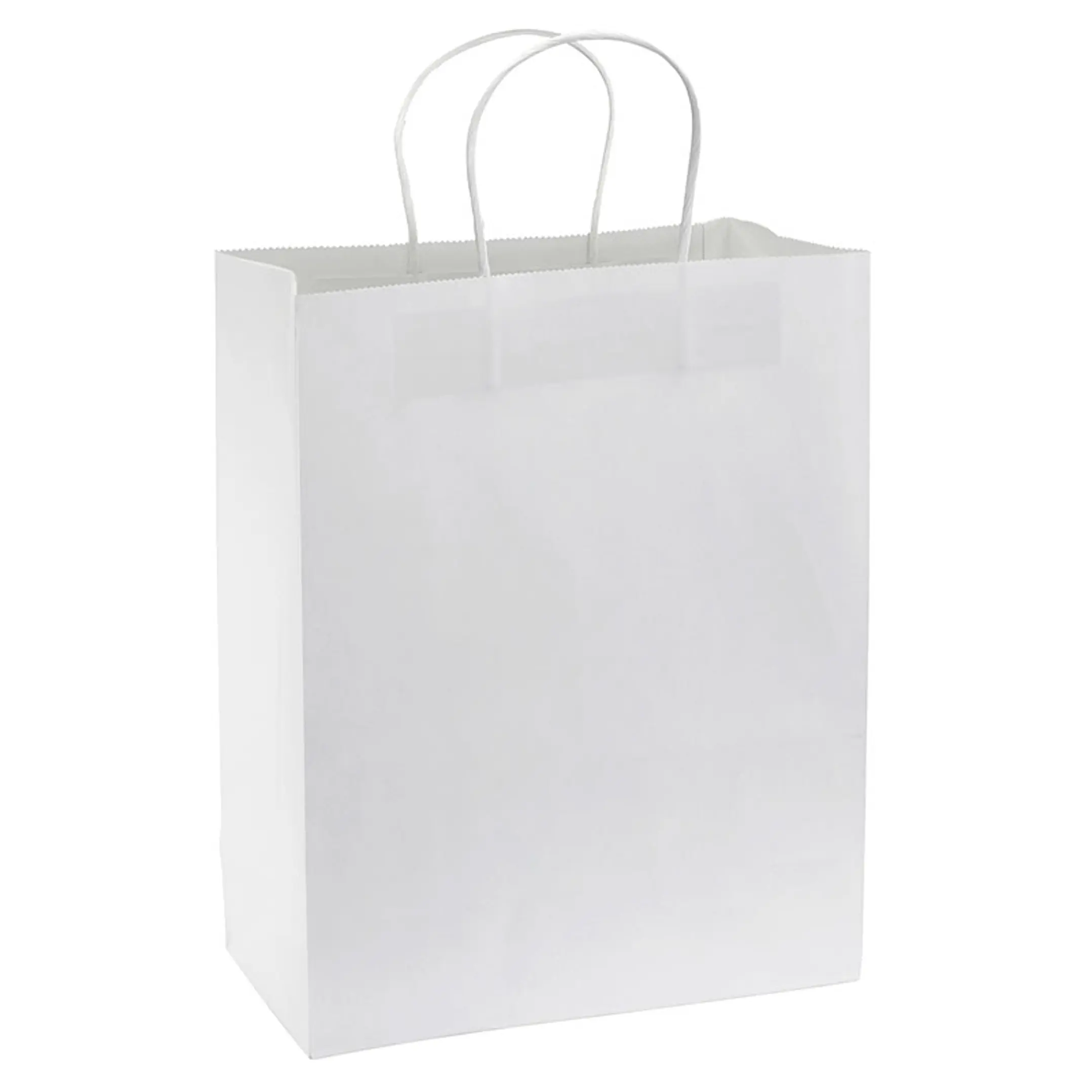 Bolsa de Papel 120g/m2 (Pack 100 Unidades). 2