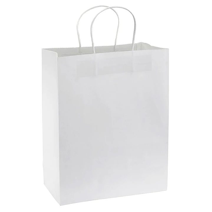 Bolsa de Papel 120g/m2 (Pack 100 Unidades). 2