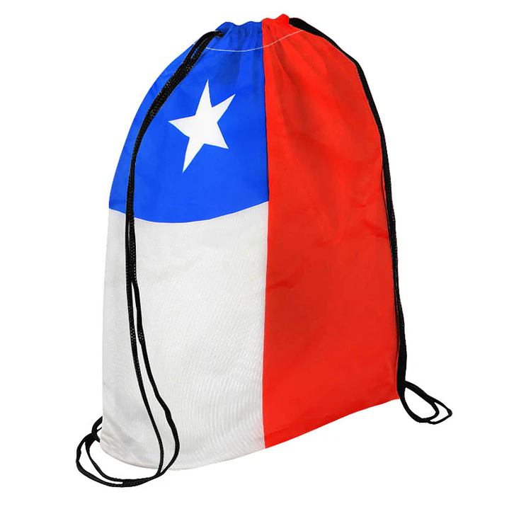 Mochila Flag 1