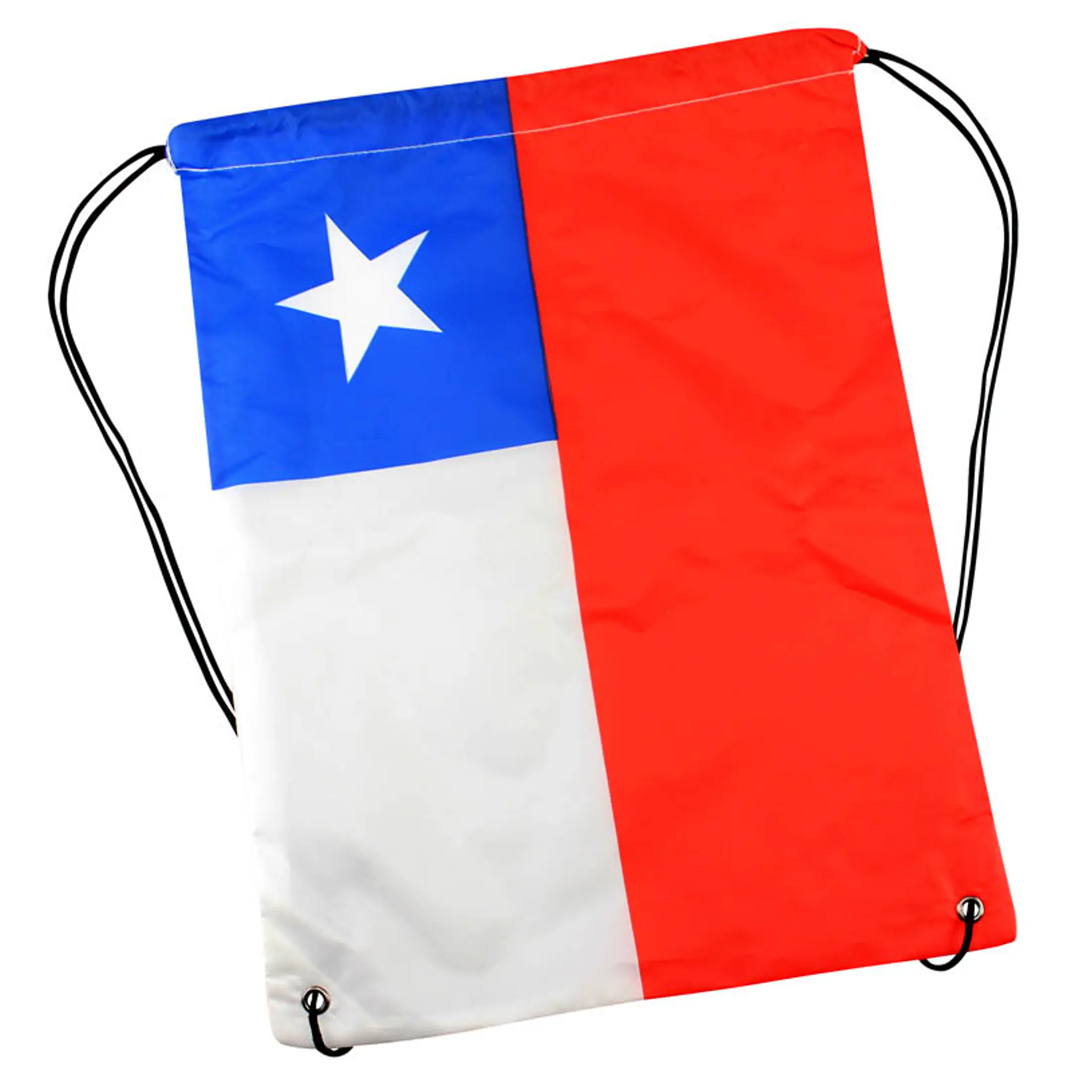 Mochila Flag 2