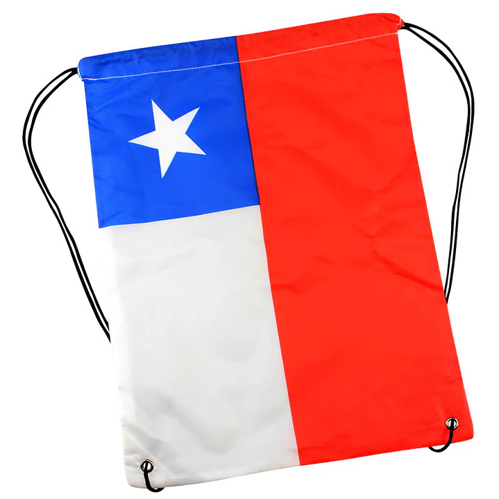 Mochila Flag 2