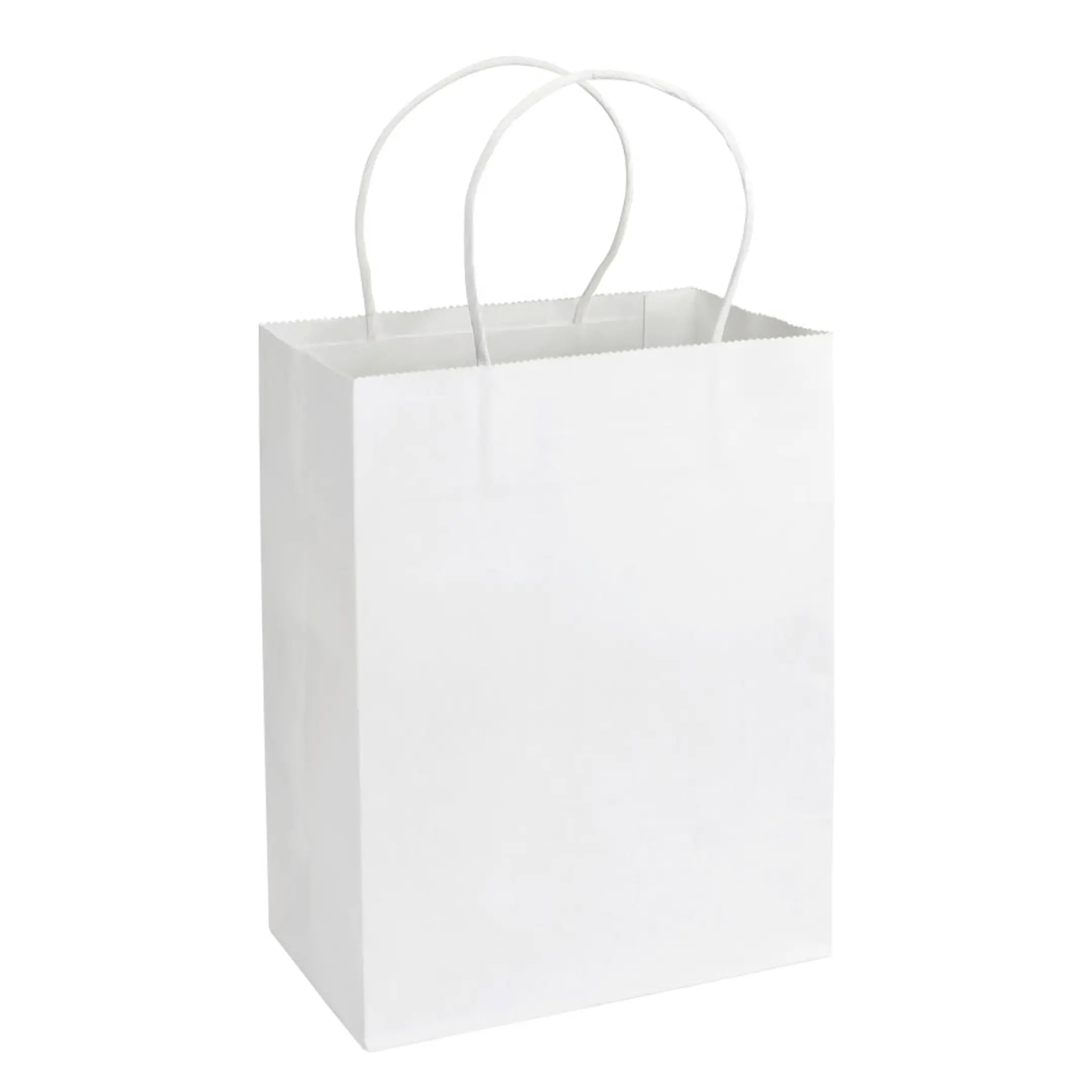 Bolsa de Papel 120g/m2 (Pack 100 Unidades). 2